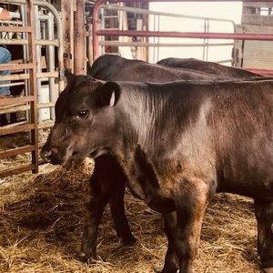 Meet your Posher, Leah